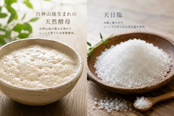 天然酵母